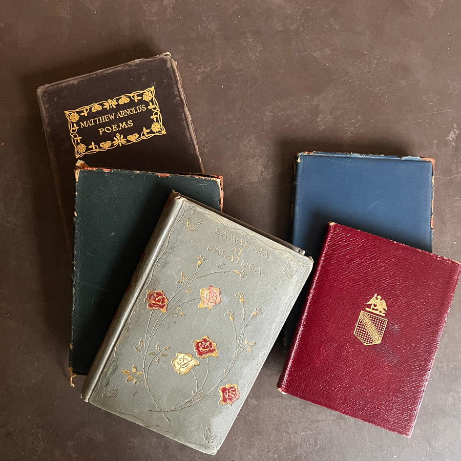 Antique Lit Book Bundle