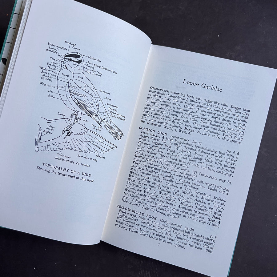 1961 - A Field Guide to Western Birds