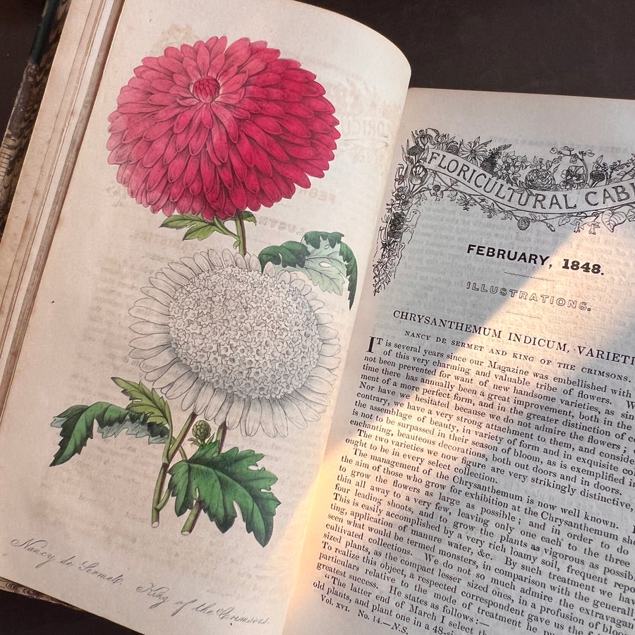 Floricultural Cabinet Book and Florist’s Magazine (1848) | With Hand-Colored Plates