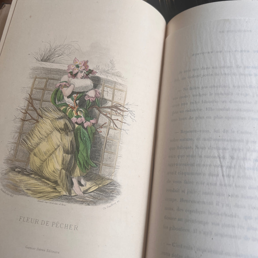 1867 Les Fleurs Animées – Grandville’s Botanical Anthropomorphism Masterpiece l 2-Volumes