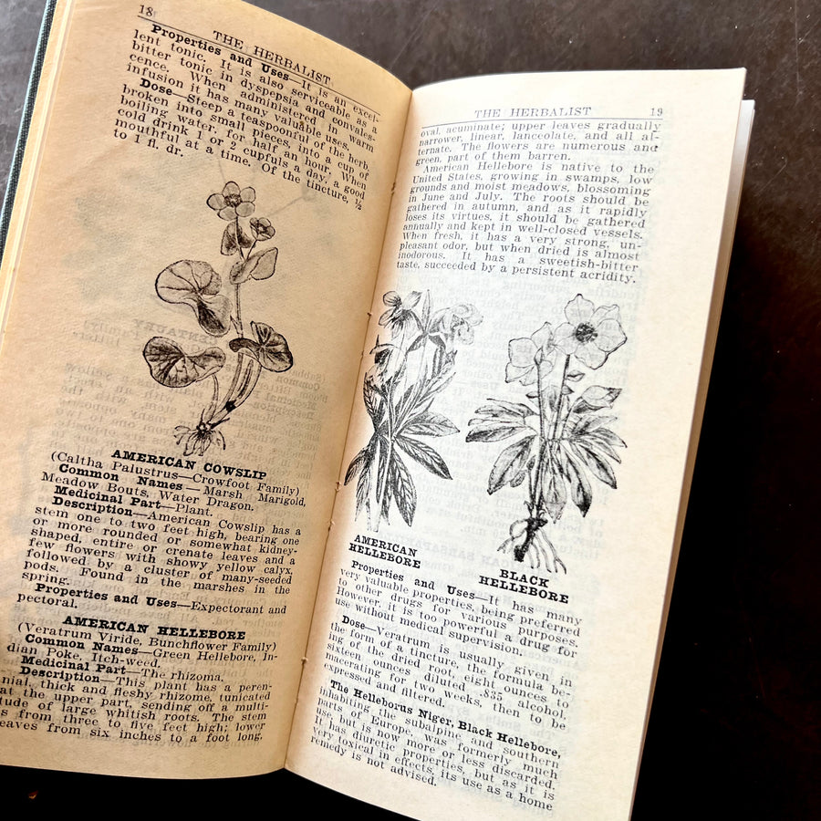 1934 - The Herbalist