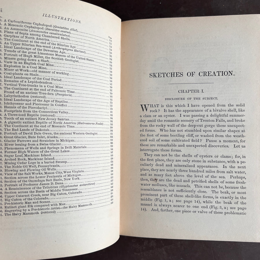 1872 - Sketches of Creation: A Popular View of Some of the Grand Conclusions of the Sciences in Reference to The History of Matter and of Life.