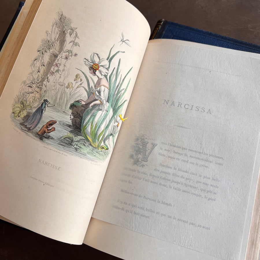1867 Les Fleurs Animées – Grandville’s Botanical Anthropomorphism Masterpiece l 2-Volumes