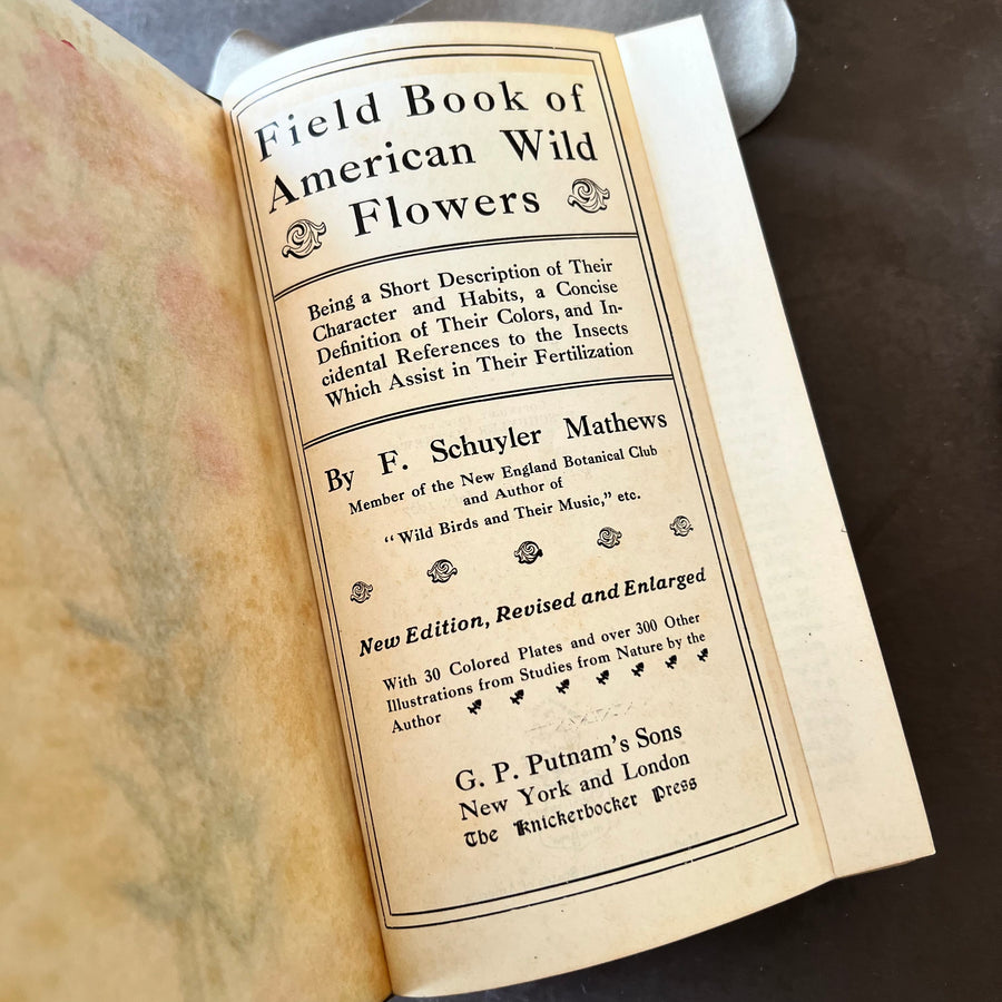 1927 - Field Book Of American Wild Flowers