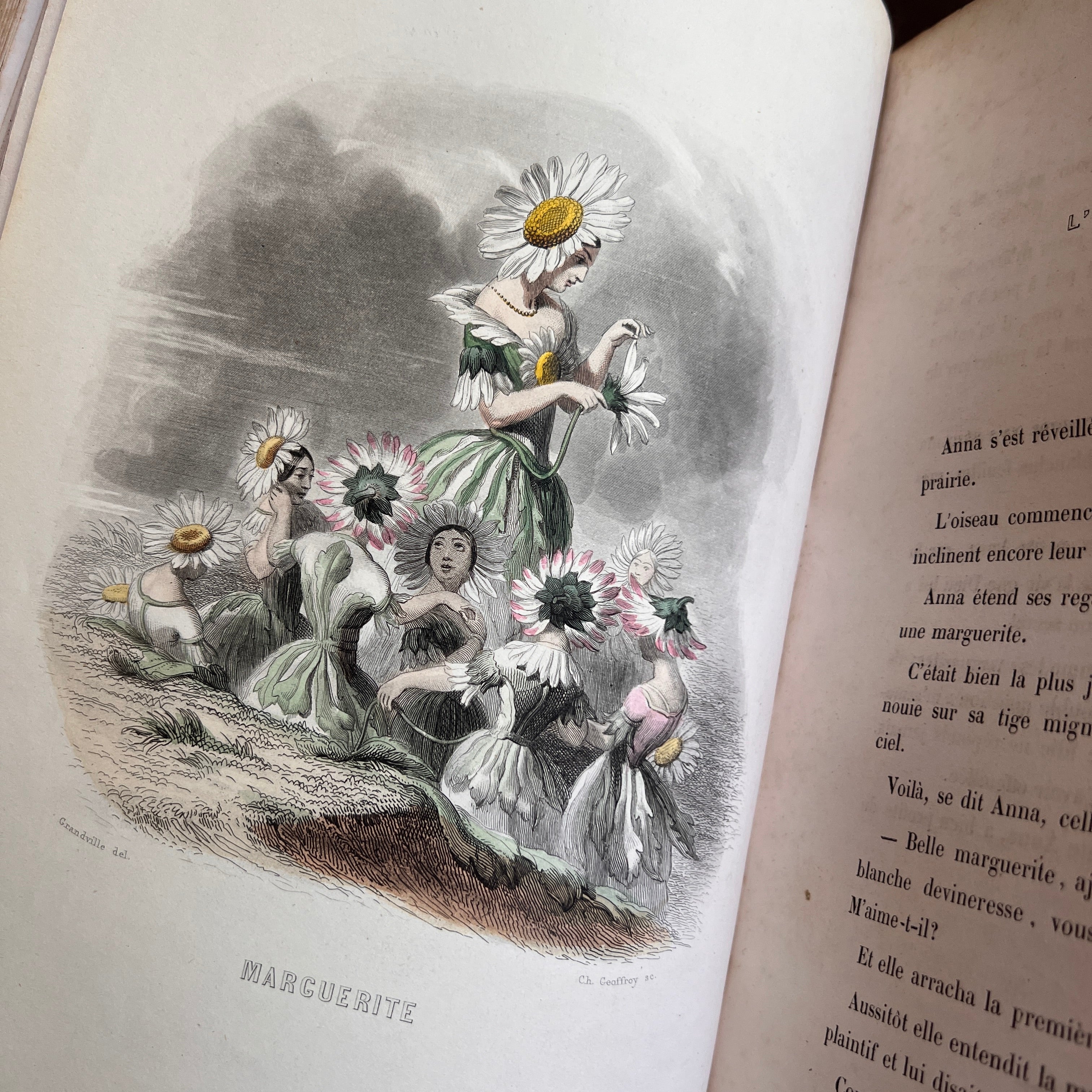 1847 - Les Fleurs Animees – Honey Bee Mill