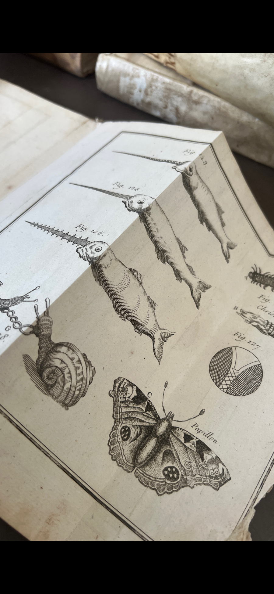 1756 Grammaire des Sciences Philosophiques — Vellum-Bound Scientific Encyclopaedia with Newtonian & Copernican Fold-Out Plates