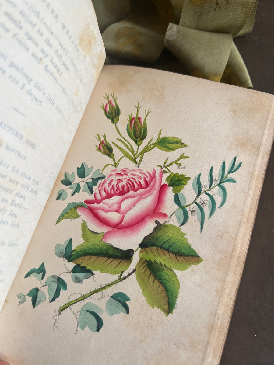 The Lady’s Book of Flowers and Poetry | 1859