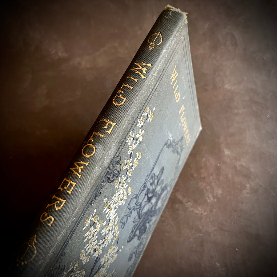 Wild Flowers and Where They Grow (1882)