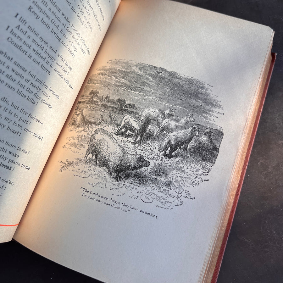 The Poetical Works of Jean Ingelow (1884) | Illustrated