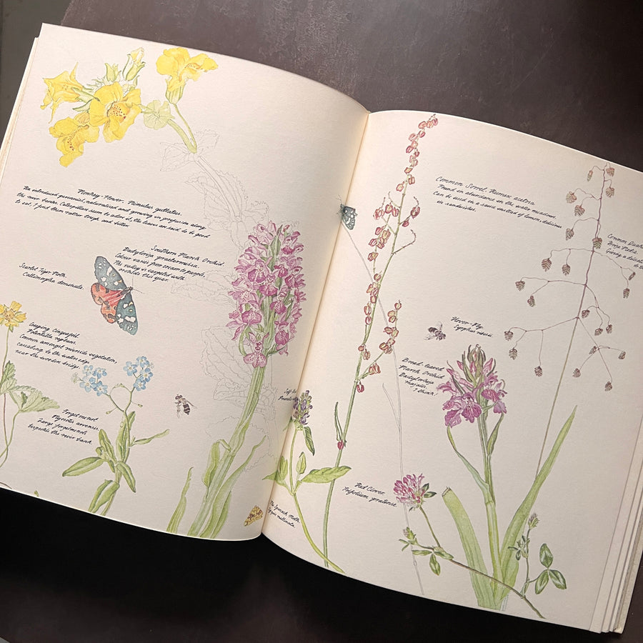 1979 - Janet Marsh’s Nature Diary