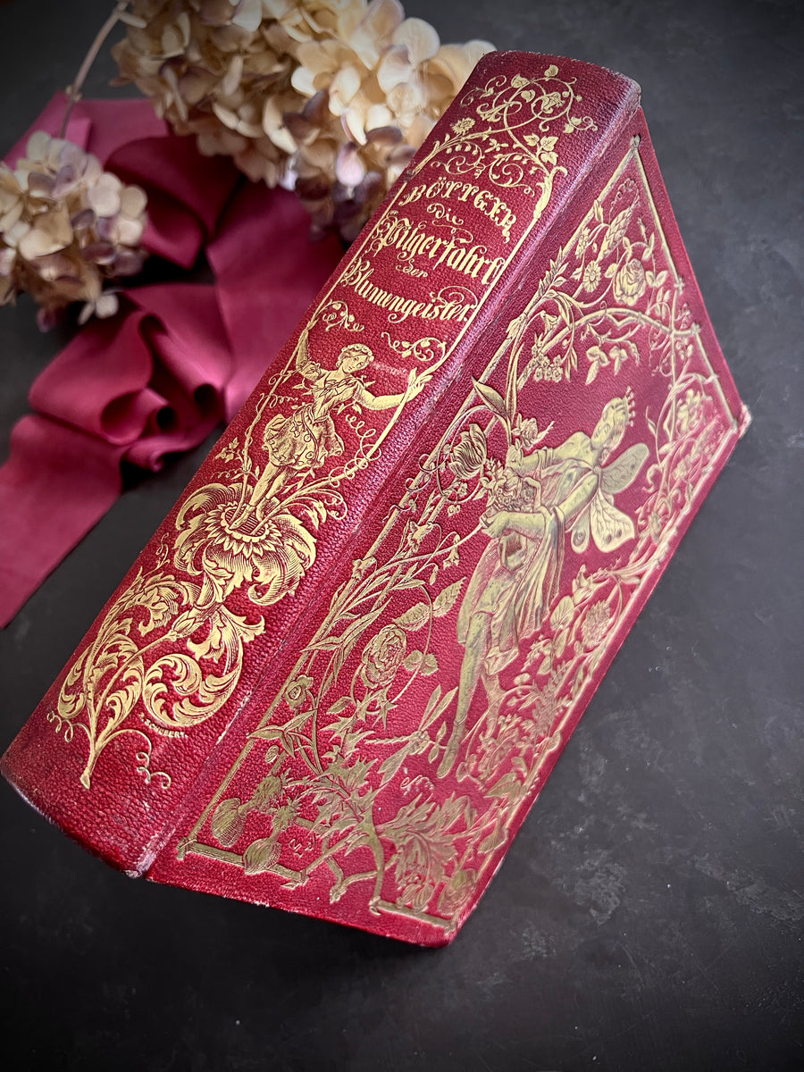 Die Pilgerfahrt der Blumengeister by Adolf Böttger (The Pilgrimage of the Flower Spirits) 1854 – With 36 Hand-Colored Plates After Grandville