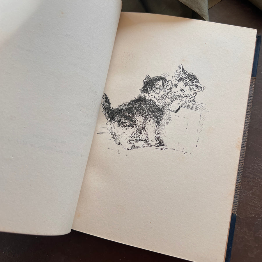 The Soul of a Cat and Other Stories — Margaret Benson (1901) | Fine Custom Binding with Marbled Endpapers