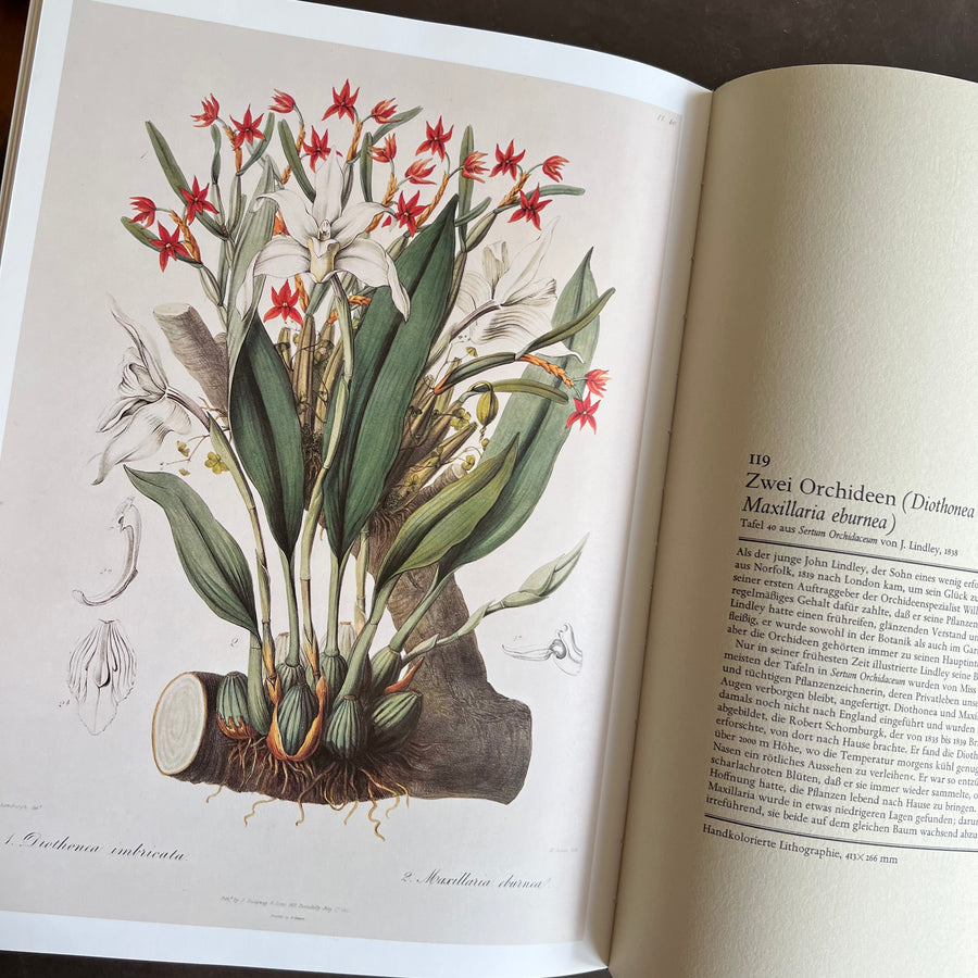 1973 - Kaiserkron und Tulipan; Die Schonheit von Blume und Bluten