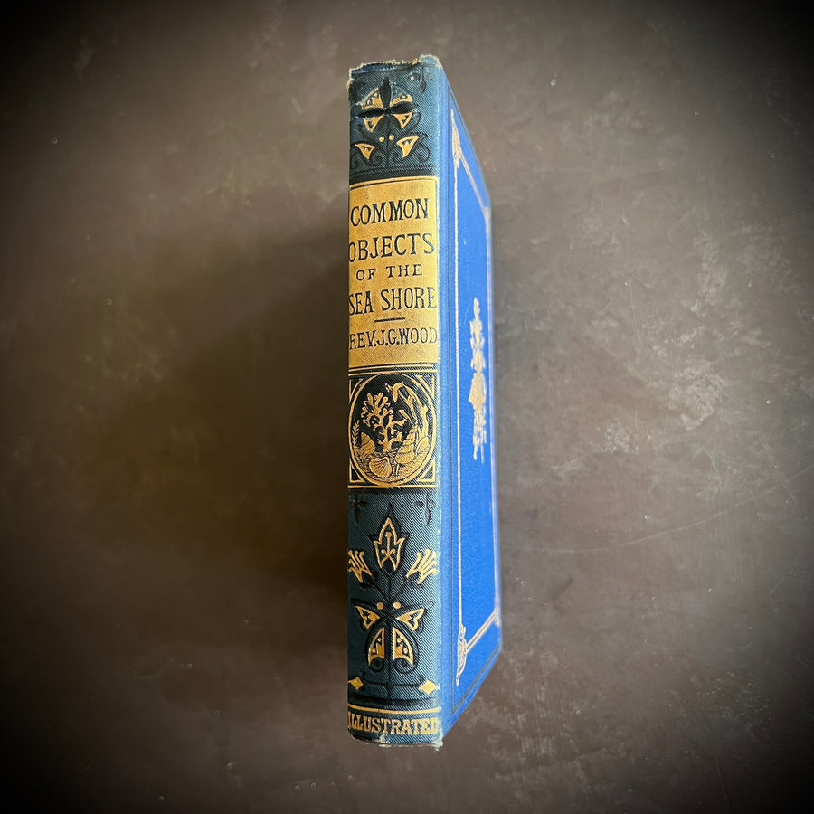 The Common Objects of the Sea Shore | Hand-Colored Plates (c.1870s-1880s)