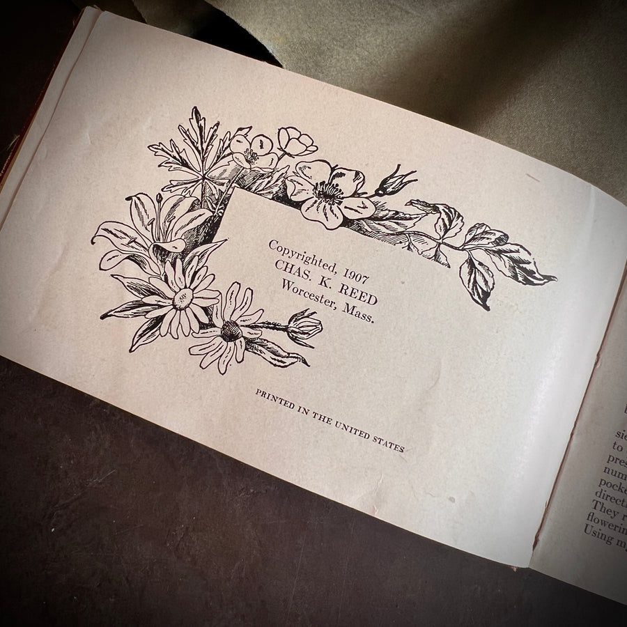Flower Guide: Wild Flowers East of the Rockies by Chester A. Reed