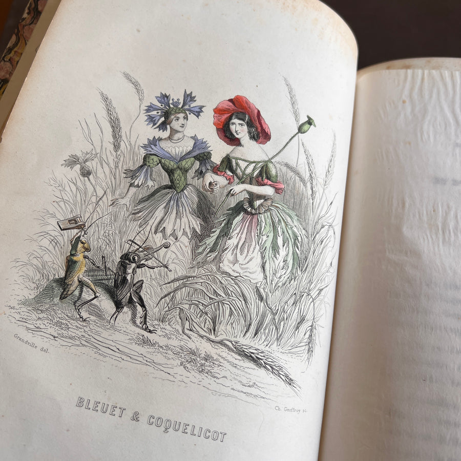 1847 Les Fleurs Animées by J.J. Grandville | First Edition, Two