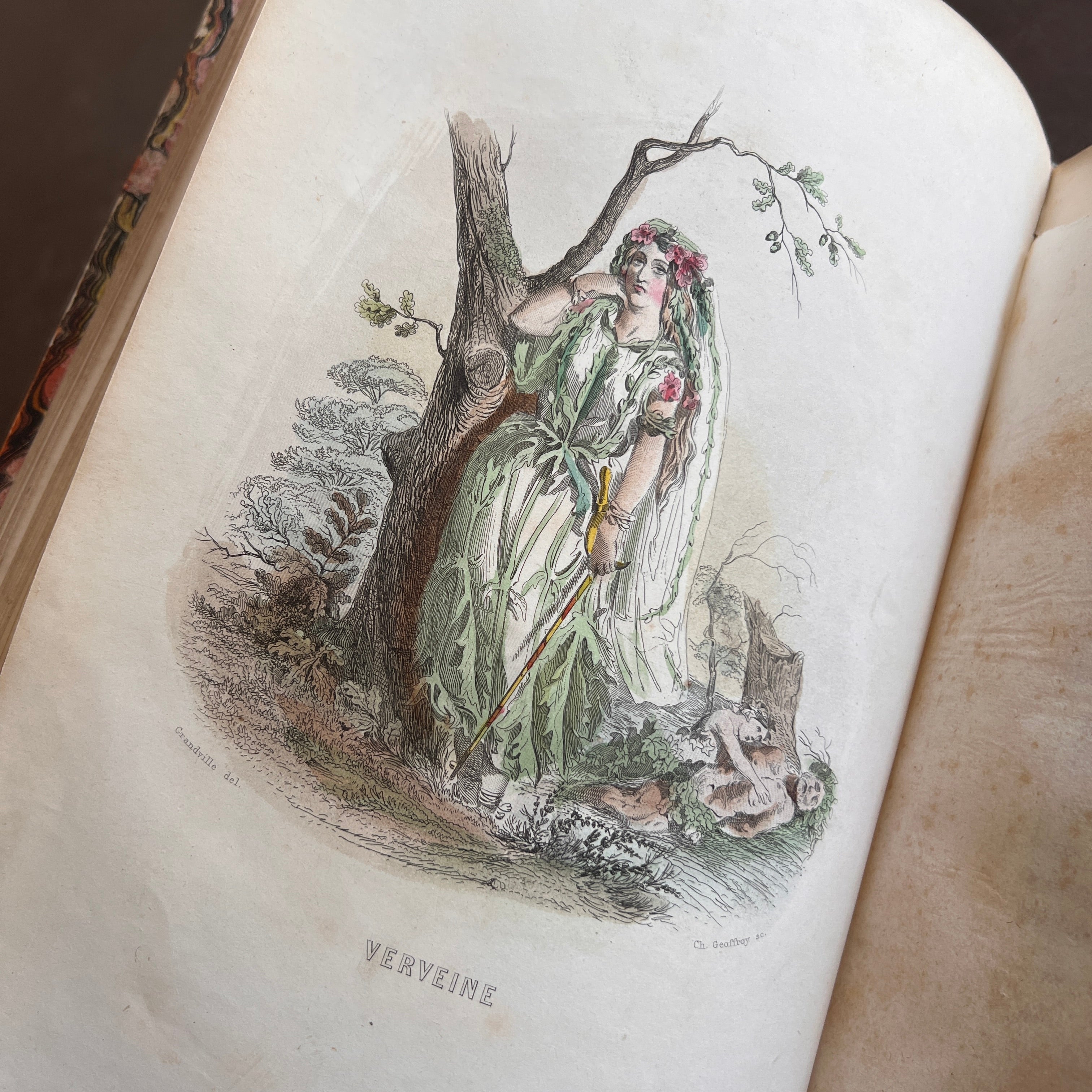 1847 Les Fleurs Animées by J.J. Grandville | First Edition, Two