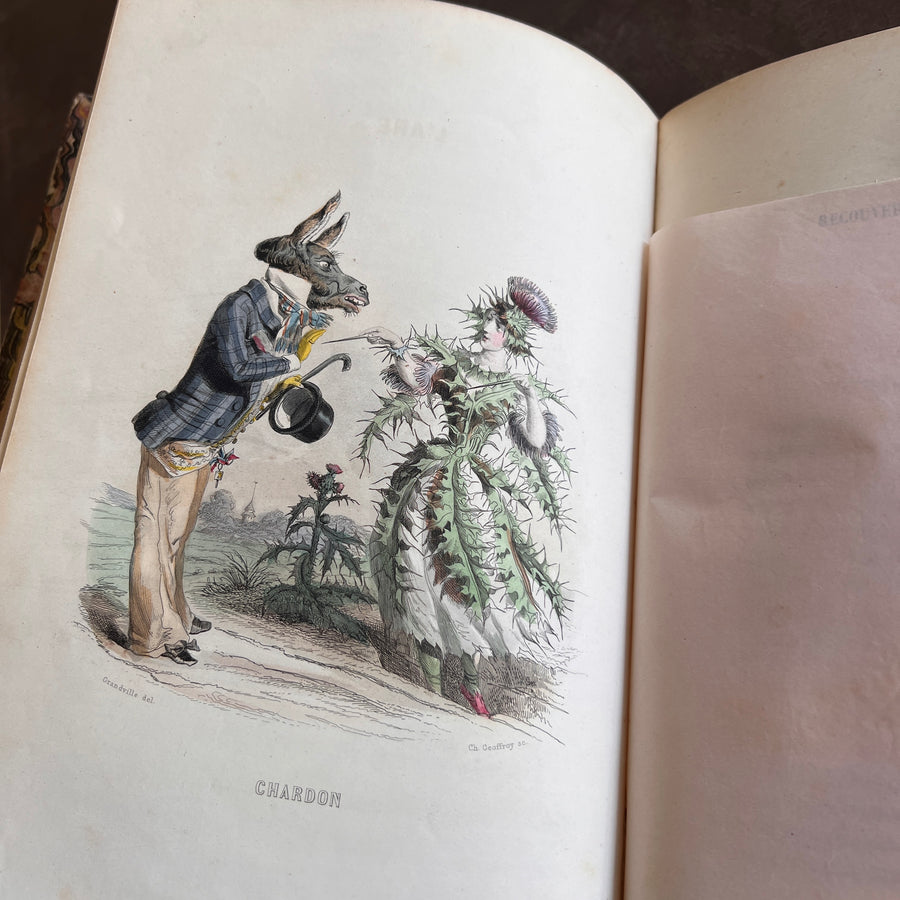 1847 Les Fleurs Animées by J.J. Grandville | First Edition, Two