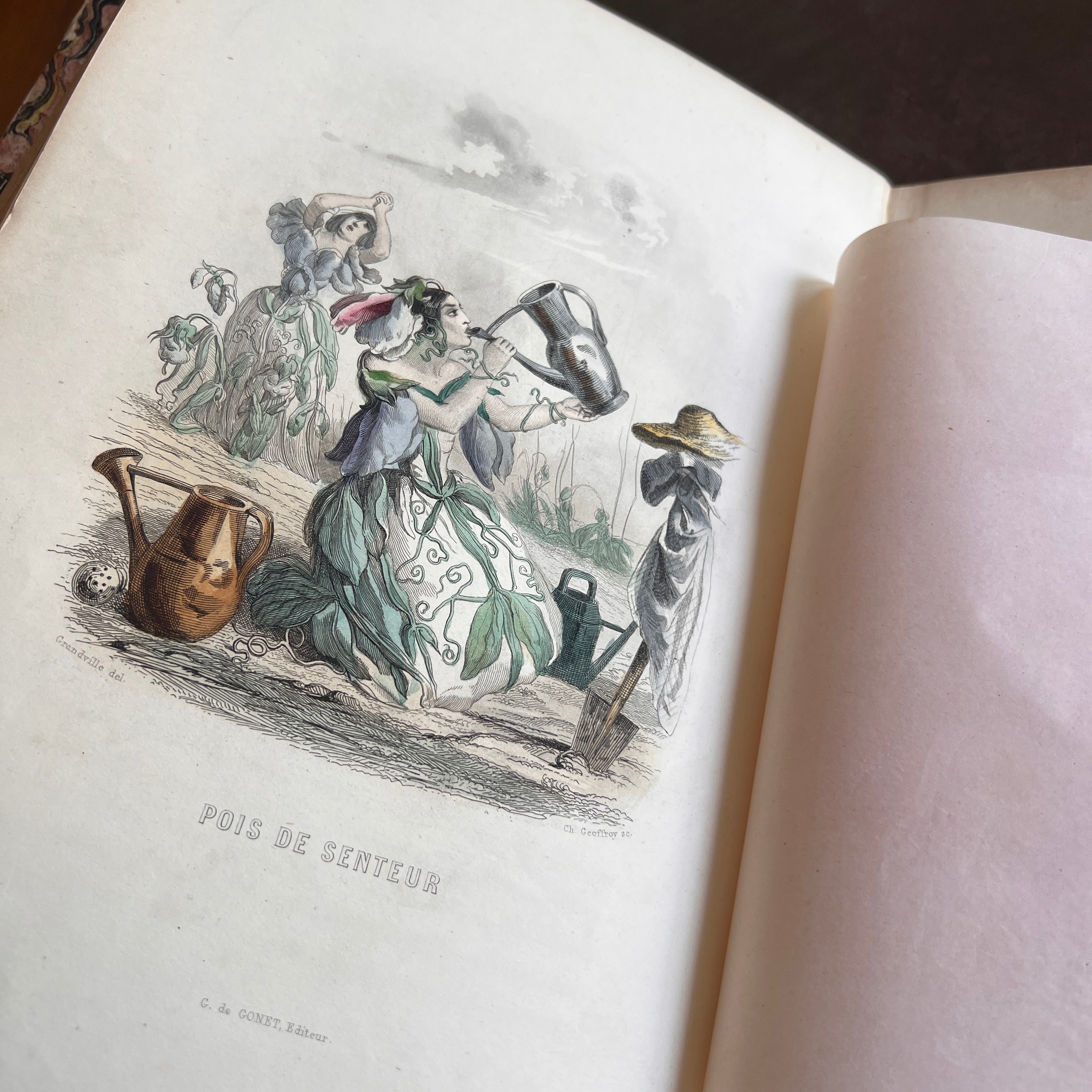 1847 Les Fleurs Animées by J.J. Grandville | First Edition, Two
