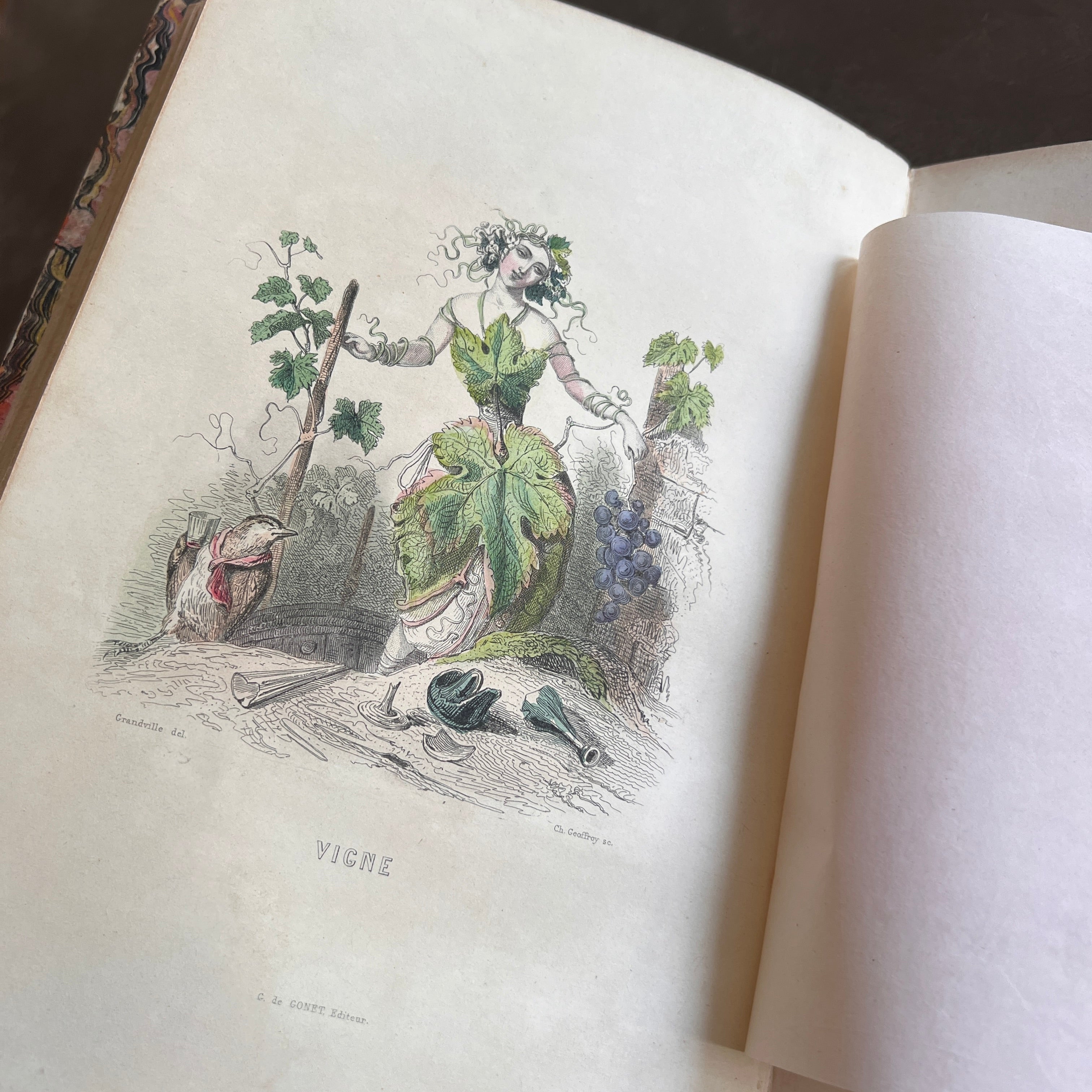 1847 Les Fleurs Animées by J.J. Grandville | First Edition, Two