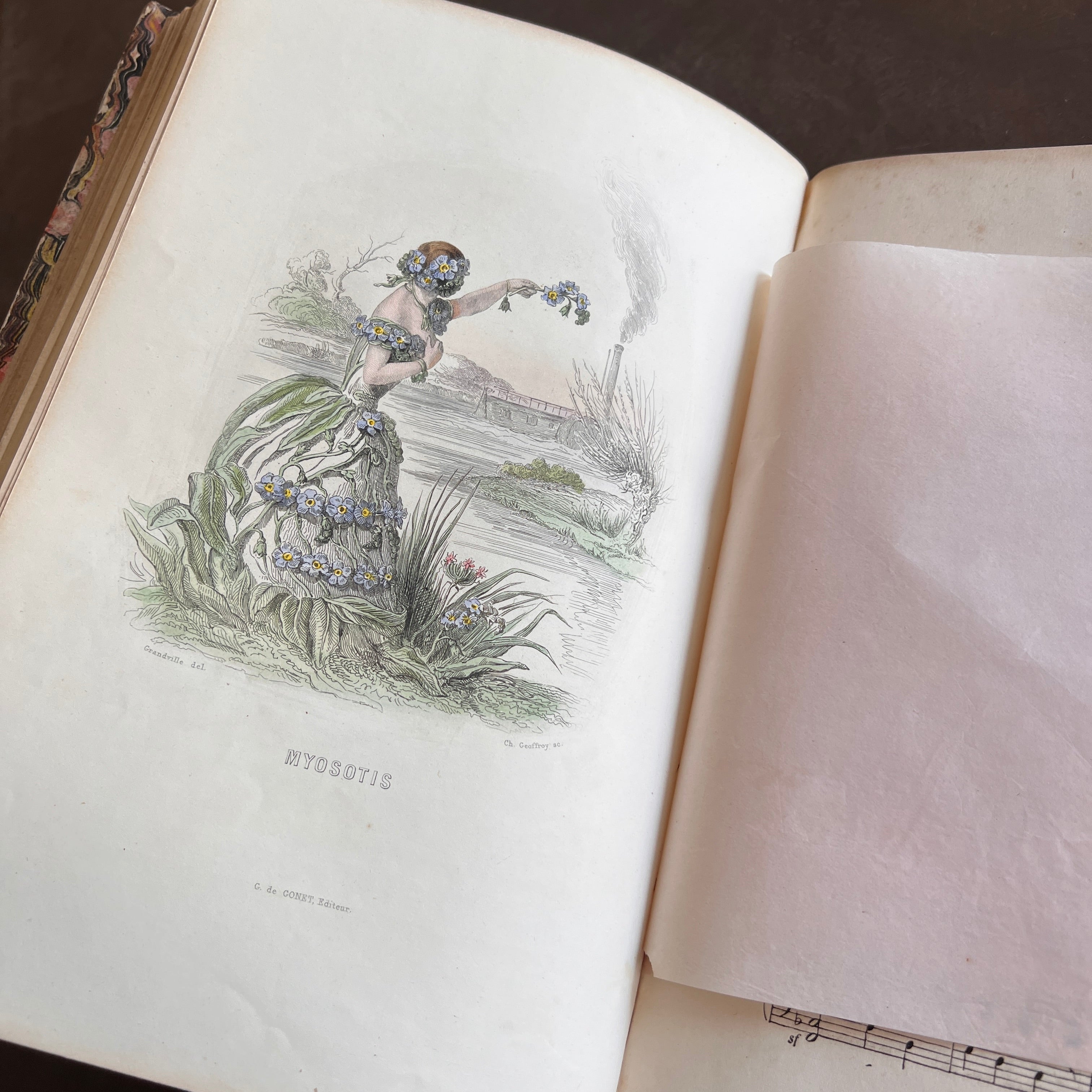1847 Les Fleurs Animées by J.J. Grandville | First Edition, Two