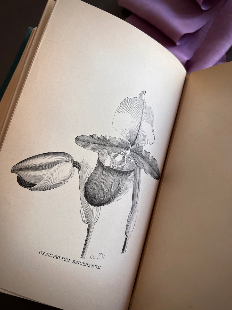 The Orchid-Grower's Manual Containing Descriptions of the Best