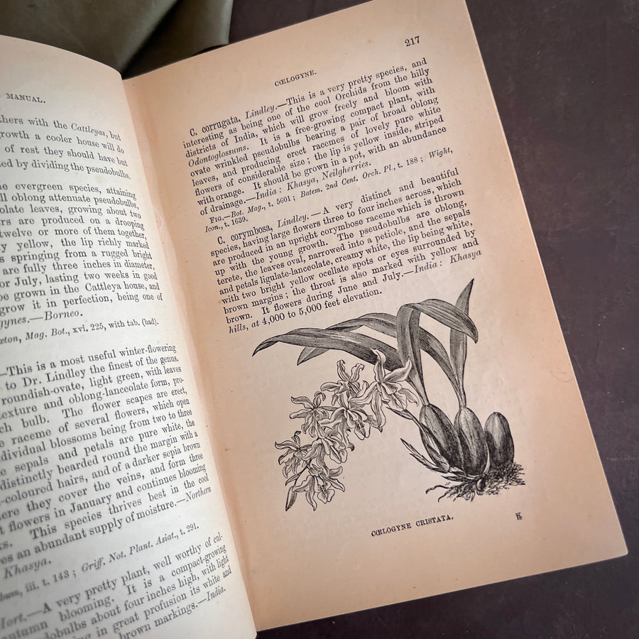 The Orchid-Grower's Manual Containing Descriptions of the Best