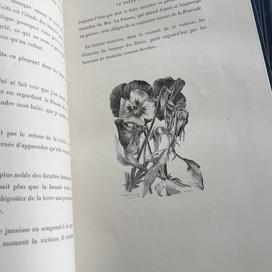 1867 Les Fleurs Animées – Grandville’s Botanical Anthropomorphism Masterpiece l 2-Volumes