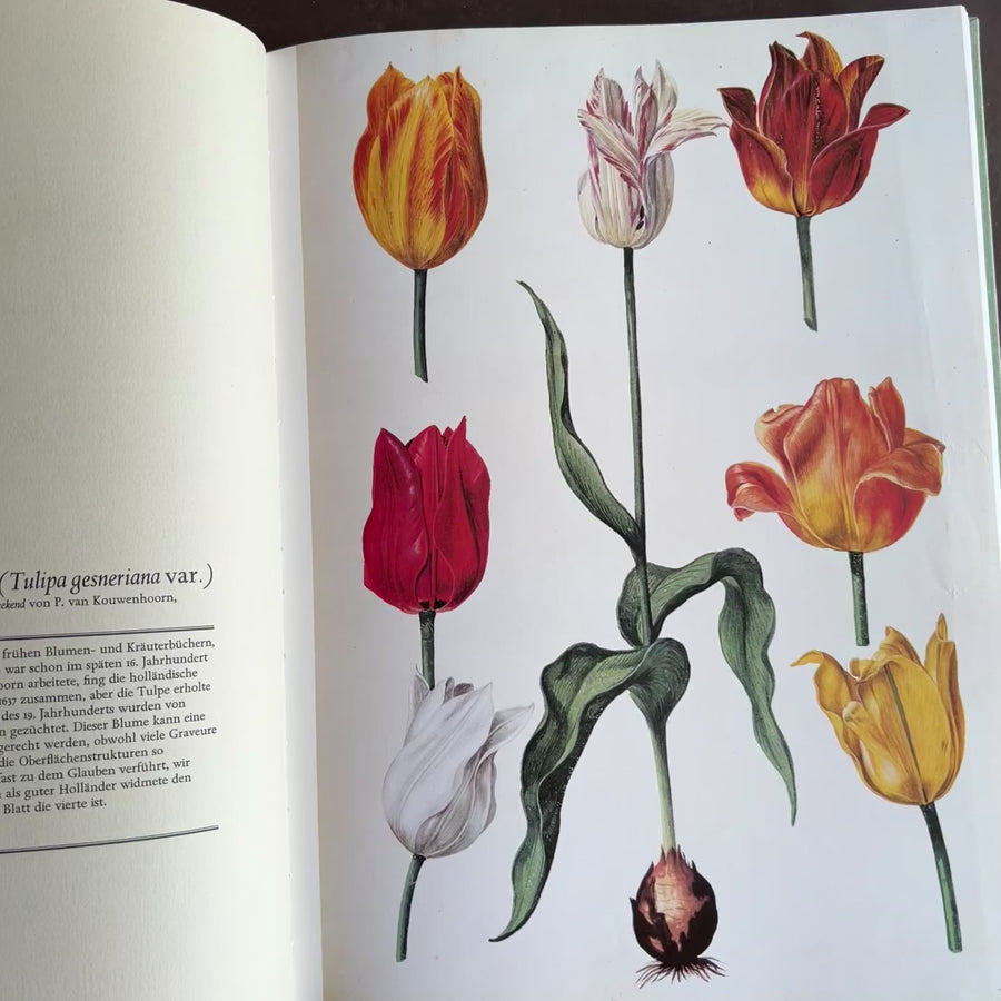 1973 - Kaiserkron und Tulipan; Die Schonheit von Blume und Bluten