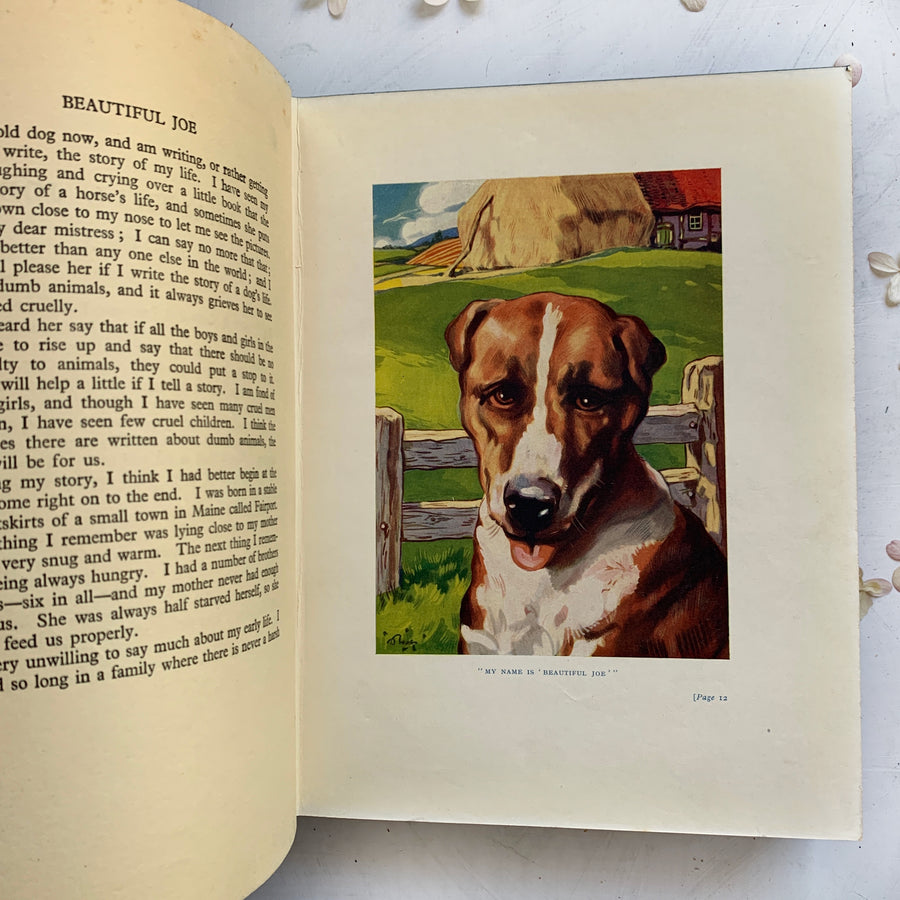 1907 - Beautiful Joe; The Autobiography of a Dog