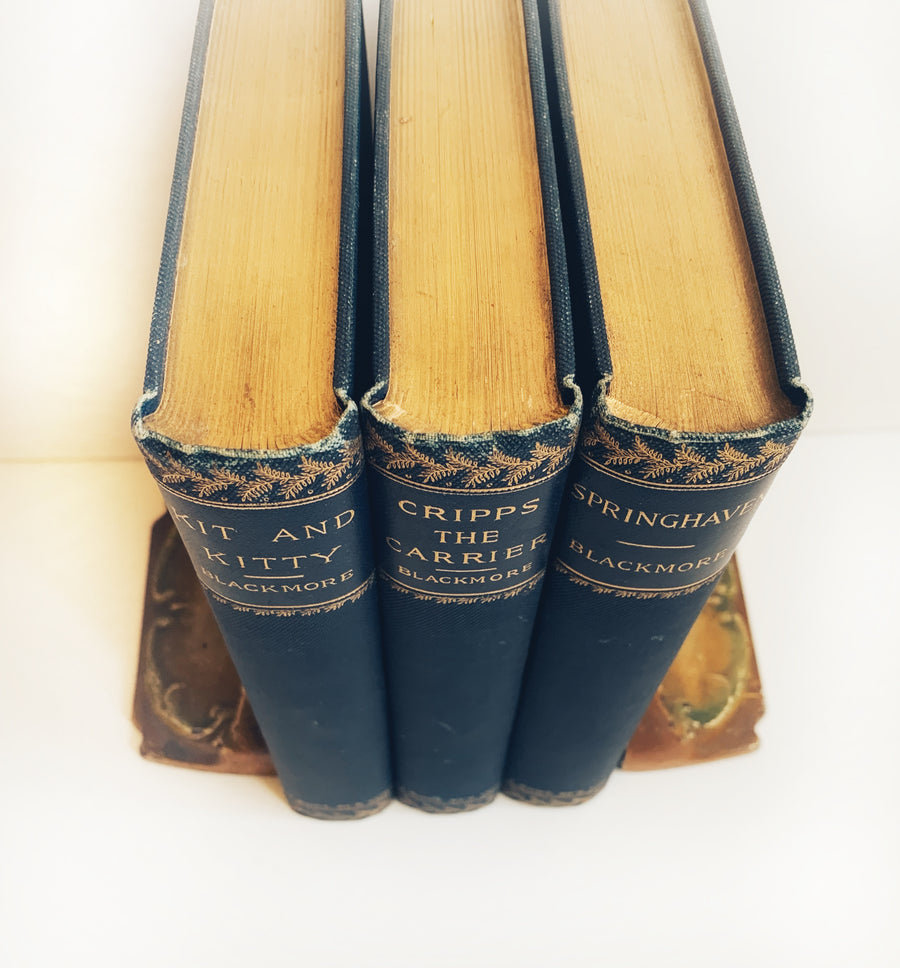 Late 1800s - Set of Decorative Novels by R. D. Blackmore
