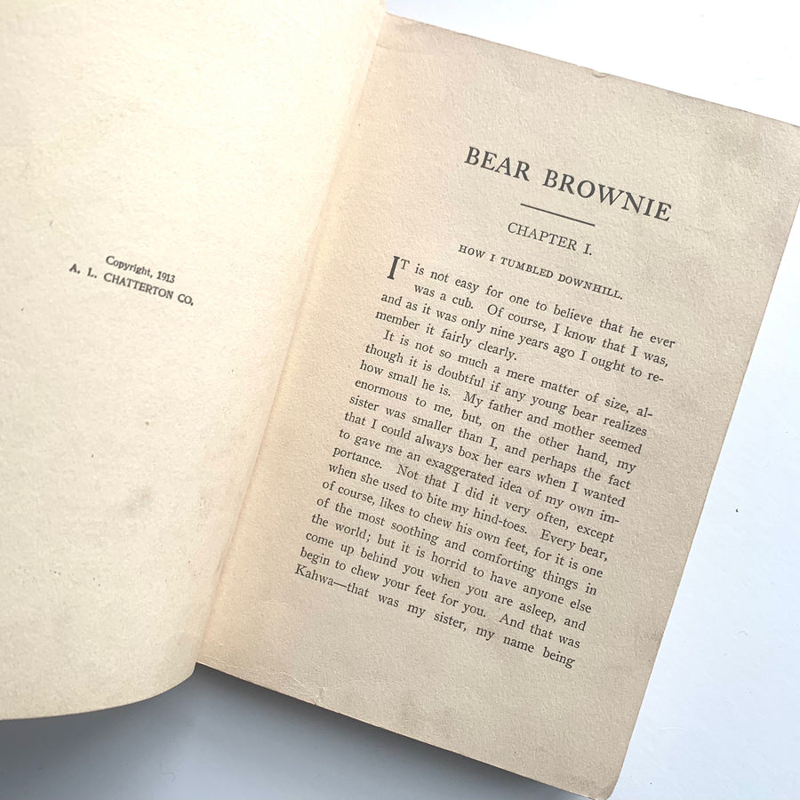 1913 - Bear Brownie, The Life of a Bear