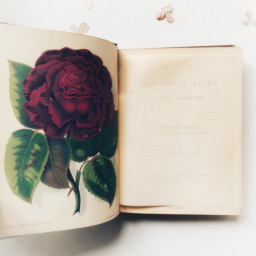 1880 - A Book About Roses, FIrst Edition, Author’s Inscription