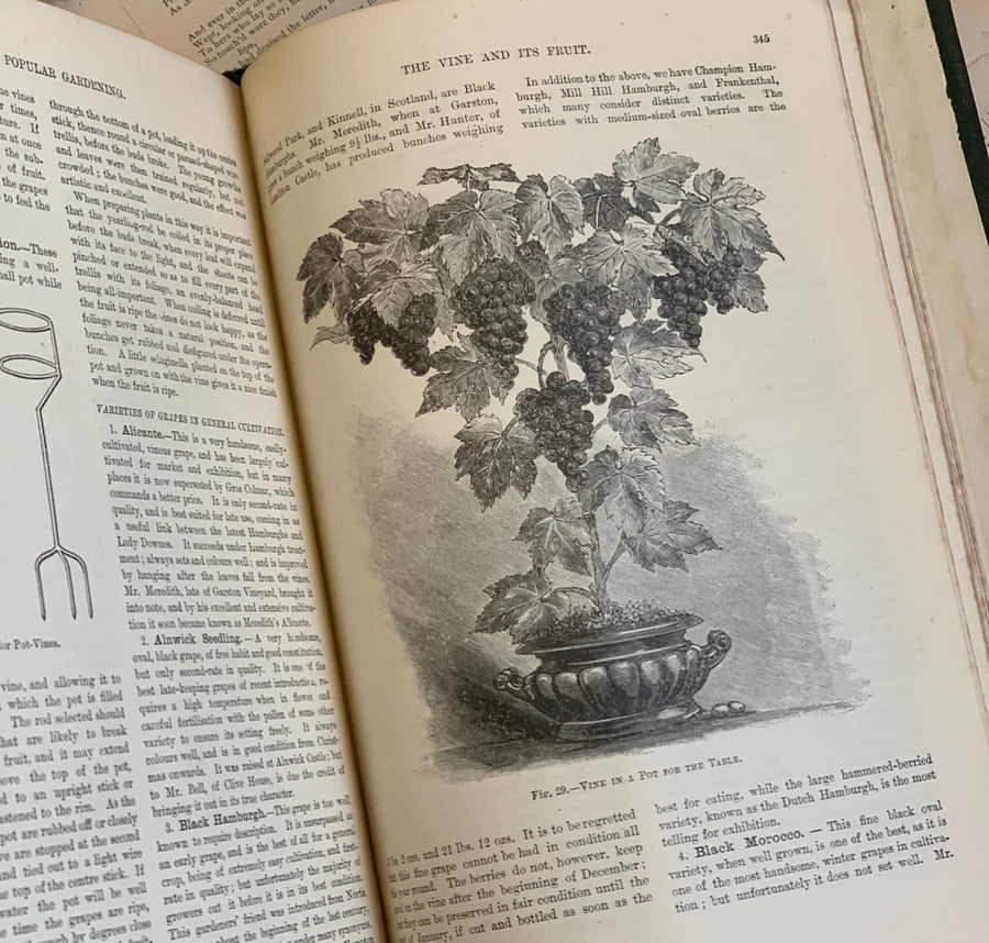 Cassell’s Popular Gardening, Two Volumes