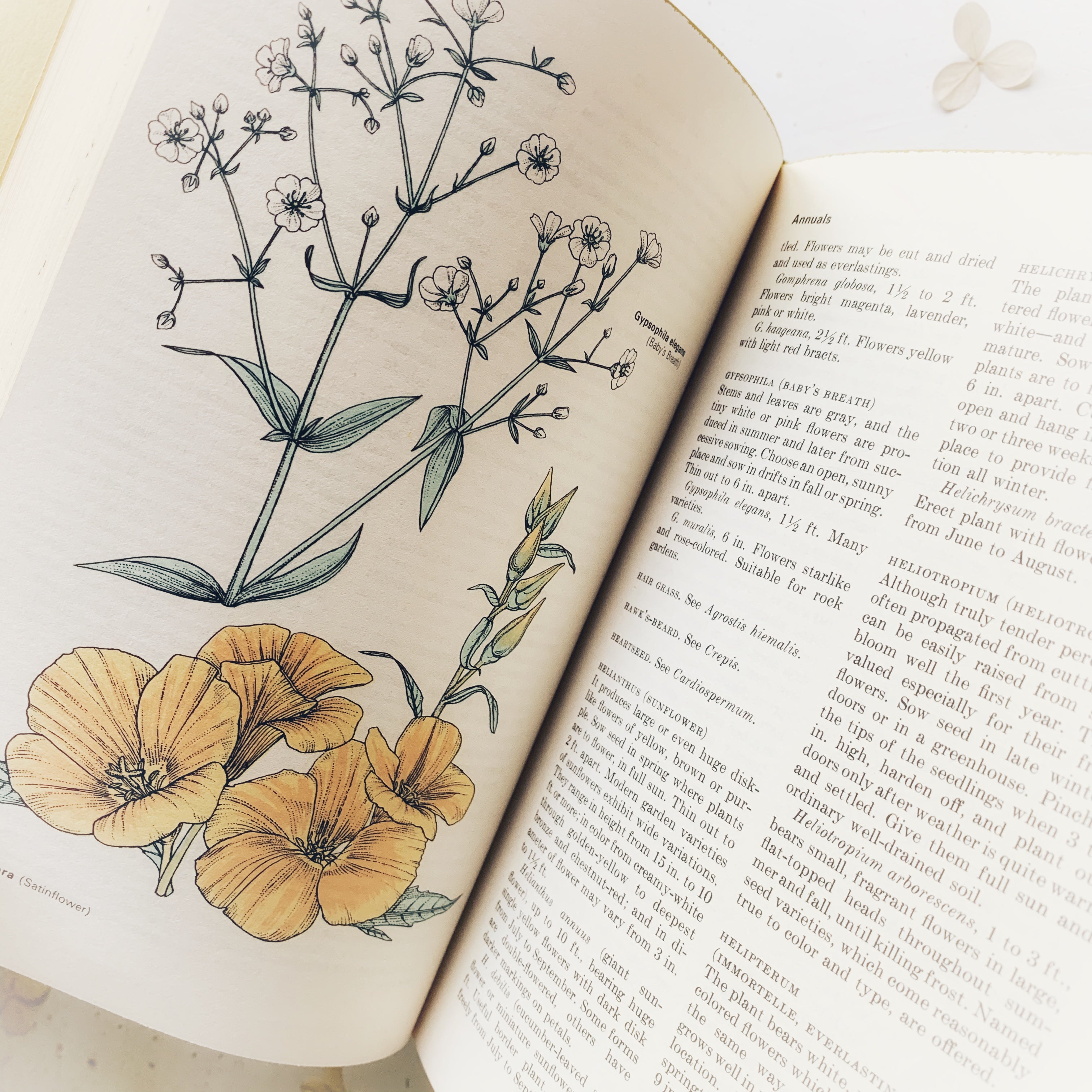 1966 - Reader's Digest Complete Book of the Garden, First Edition