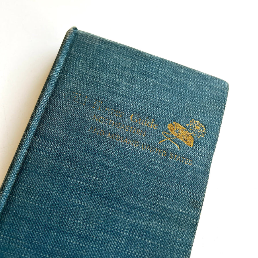 1948 - Wild Flower Guide, Northeastern and Midland United States