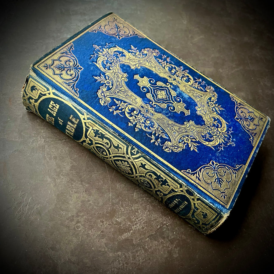 1856 - The Age of Fable; or, Stories of Gods and Heroes
