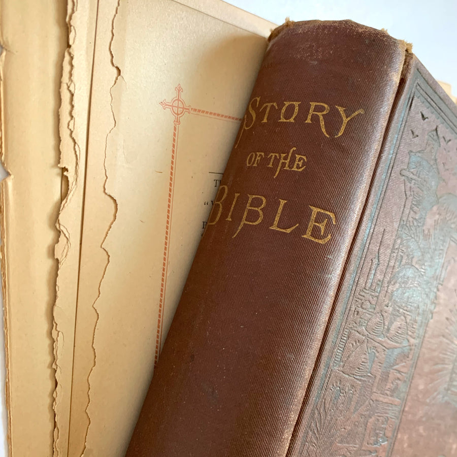 1884 - The Story of the Bible
