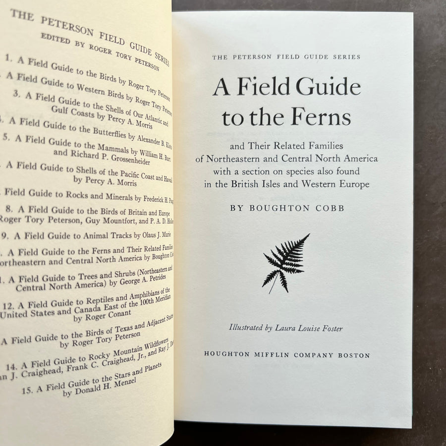 1963 - A Field Guide To The Ferns