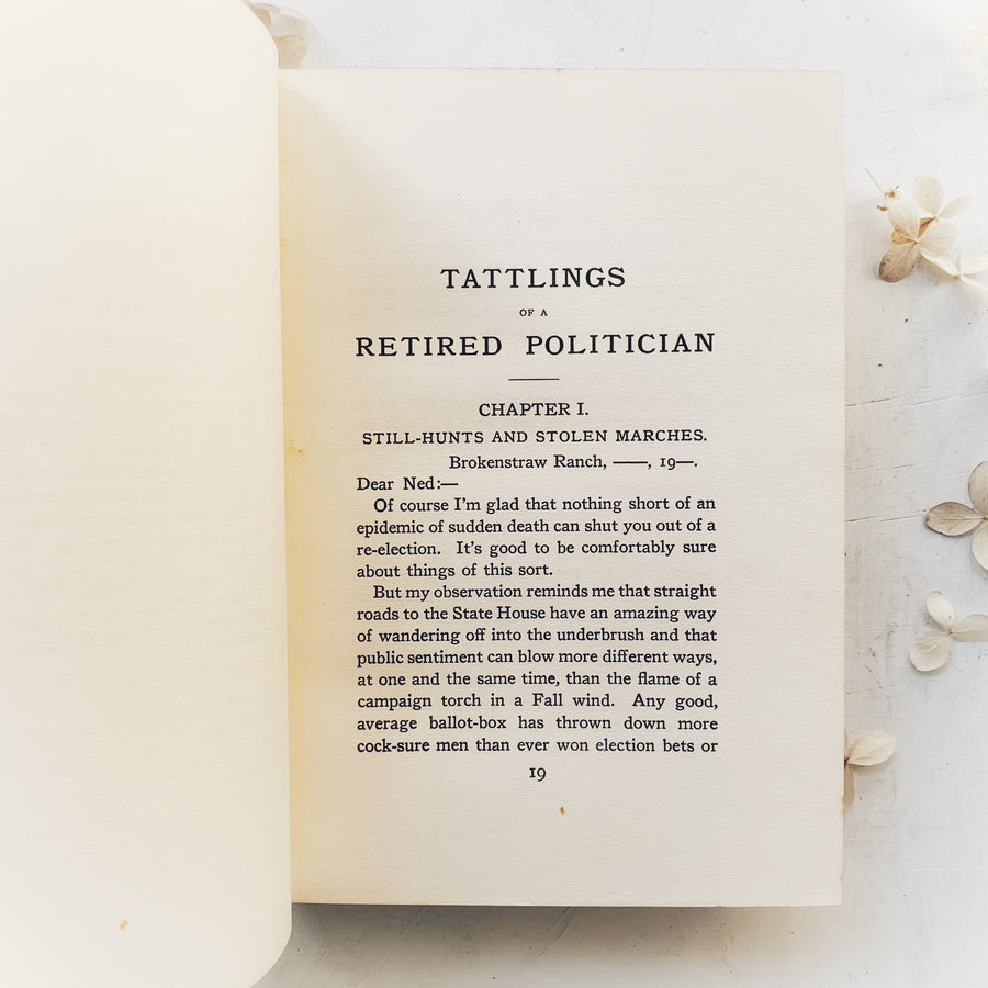 1904 - Tattlings of a Retired Politician