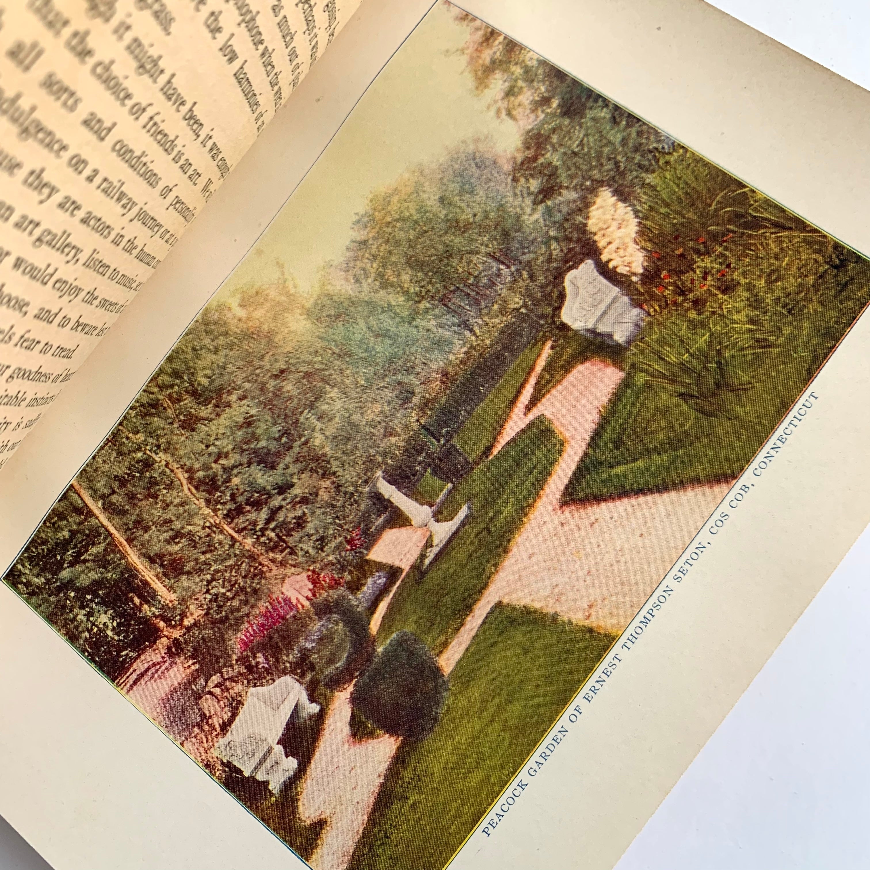 ジョアン アイザック Garden 1911 - The Joy of Gardens, First Edition – Honey Bee Mill