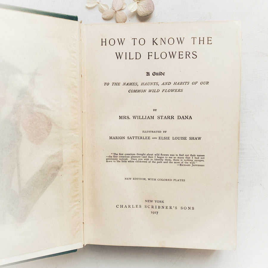 1917 - How to Know The Wild Flowers