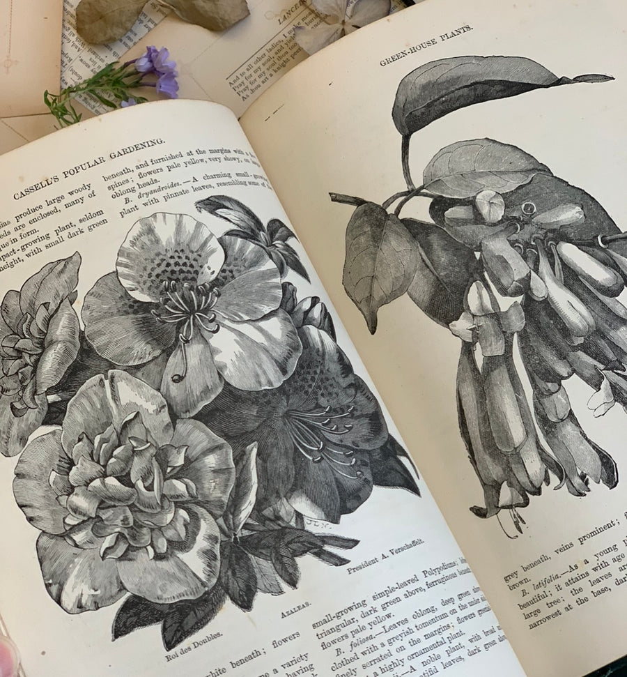 Cassell’s Popular Gardening, Two Volumes