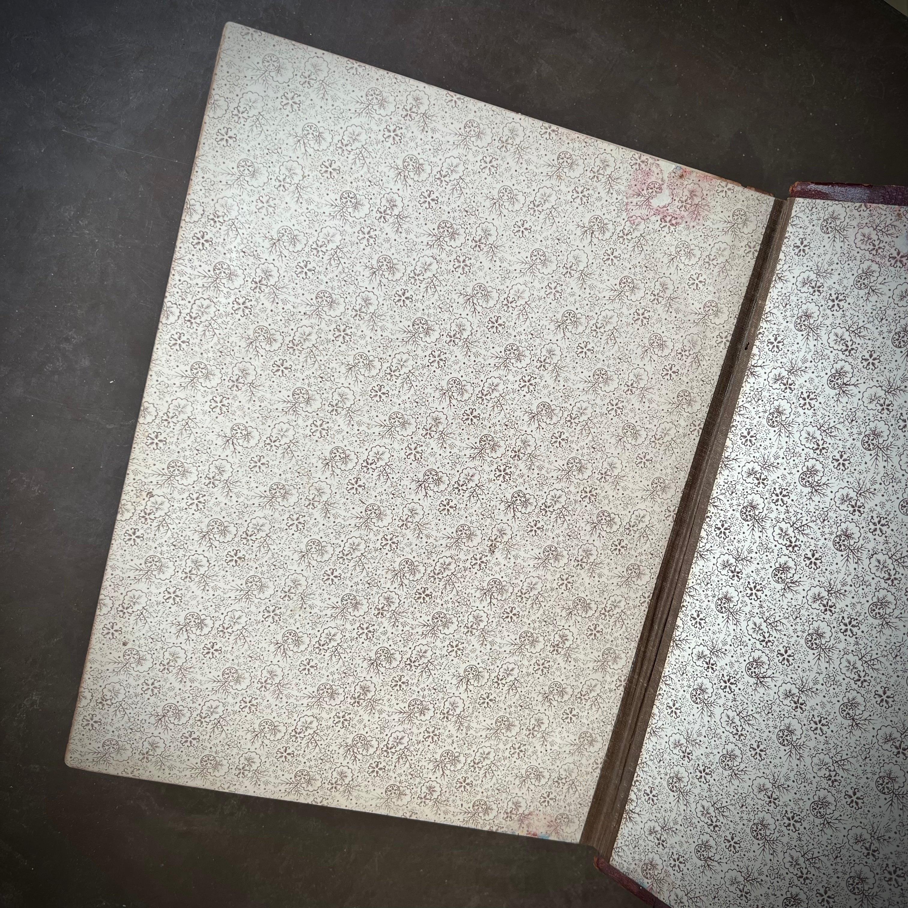 1887 - The Home Library of Useful Knowledge; A Condensation of Fifty-T ...