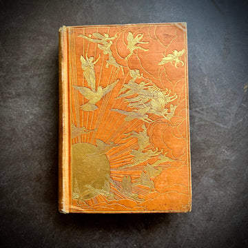 1906 - The Orange Fairy Book, First Edition