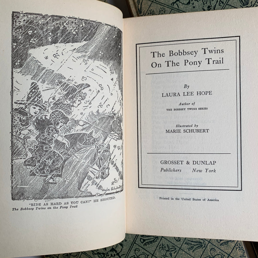 Vintage The Bobbsey Twins Collection