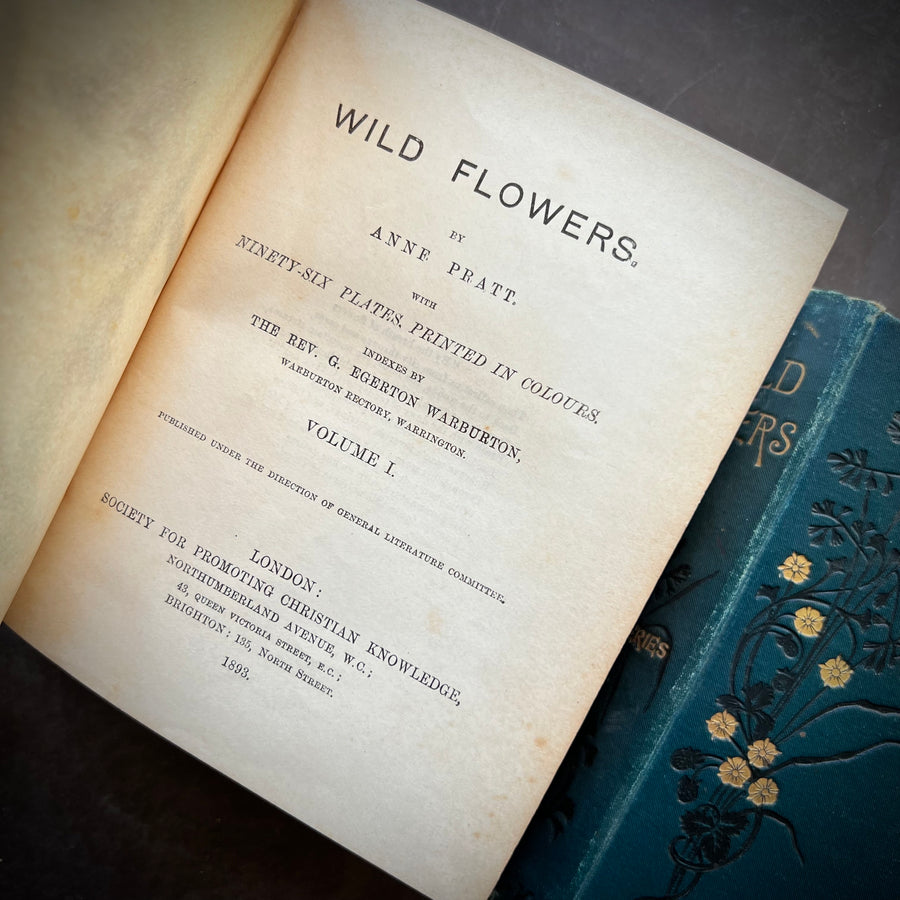 1893 - Wild Flowers