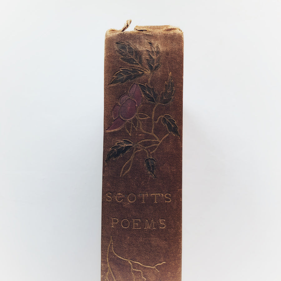 c. Early 1900s - The Poetical Works of Sir Walter Scott