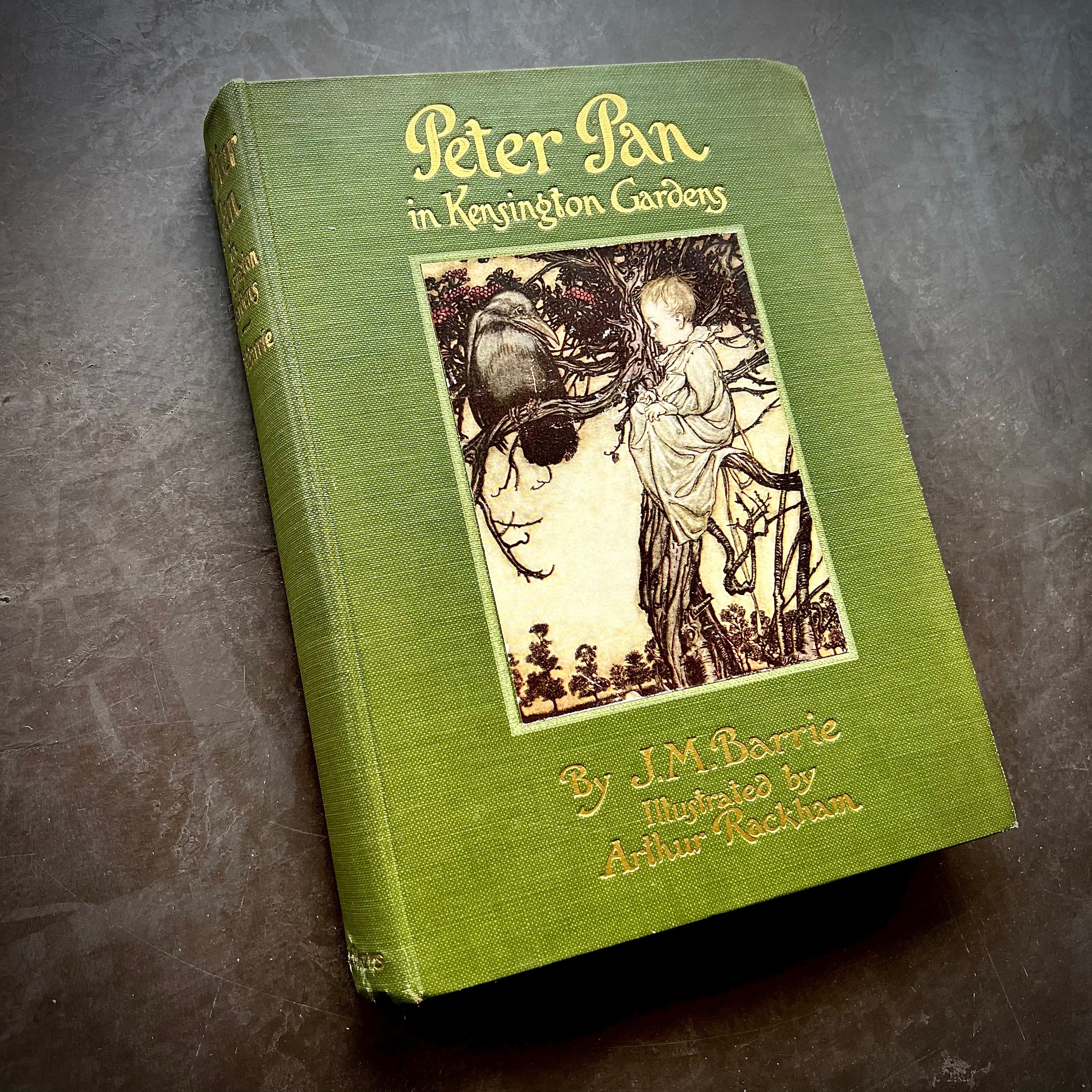 1922 - Peter Pan in Kensington Gardens, Arthur Rackham Illustrated ...