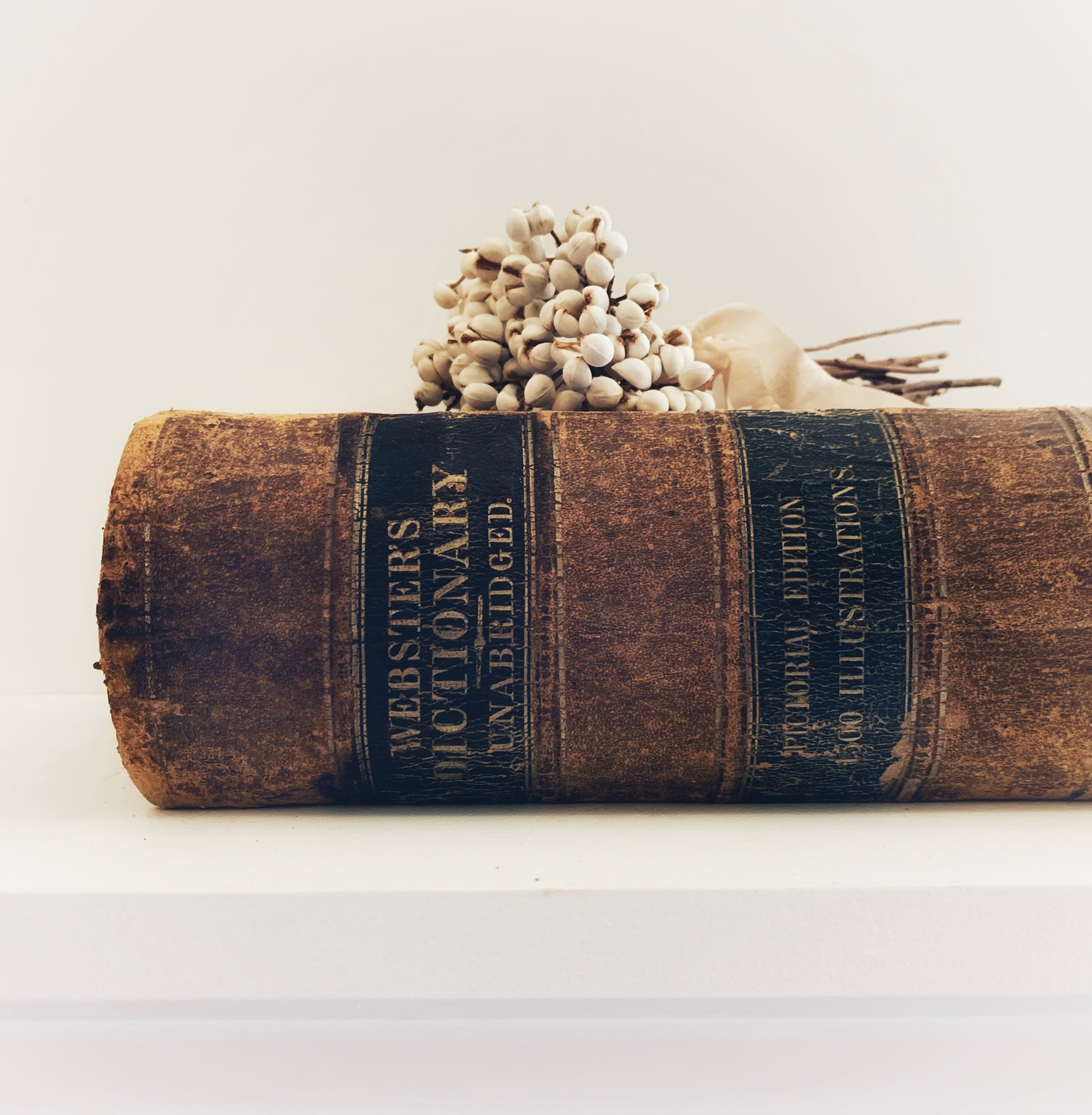 1859 - An American Dictionary Of The English Language – Honey Bee Mill